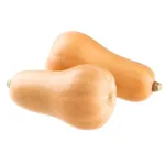 COURGE BUTTERNUT - يقطينة طويلة