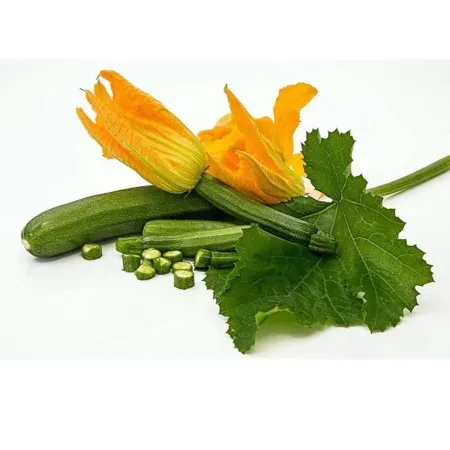 COURGETTE - كرعة كوري