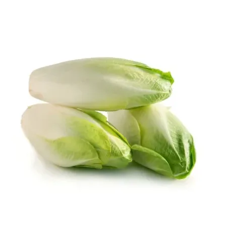 ENDIVES - انديف