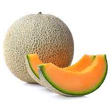 MELON CANTALOUP - المنون
