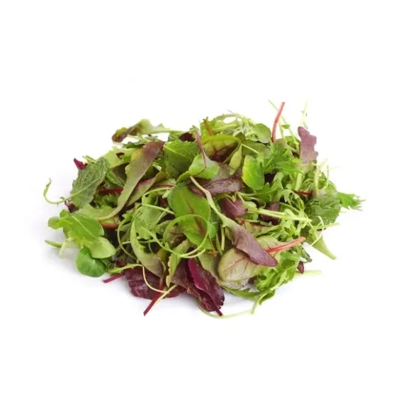 MESCLUN DE SALADE – مسكلان سلاد