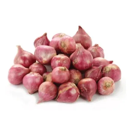 PETIT OIGNON بصلة صغيرة