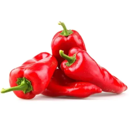 POIVRON ROUGE BELDI - فلفل أحمر بلدي