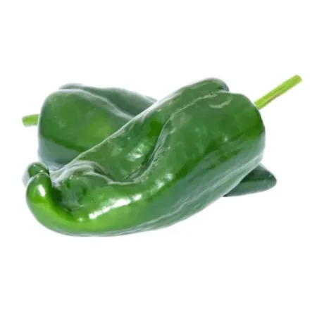 POIVRON VERT - فلفل أخضر