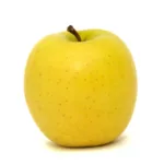 POMME GOLDEN JAUNE - التفاح الأصفر