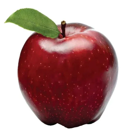 POMME ROUGE – التفاح الأحمر