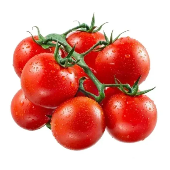 TOMATE CERISE ROUGE 2